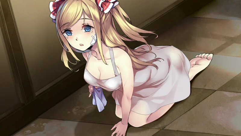 图片[1]-安卓+电脑【互动SLG】奈的调J日记 骑-大壮游戏