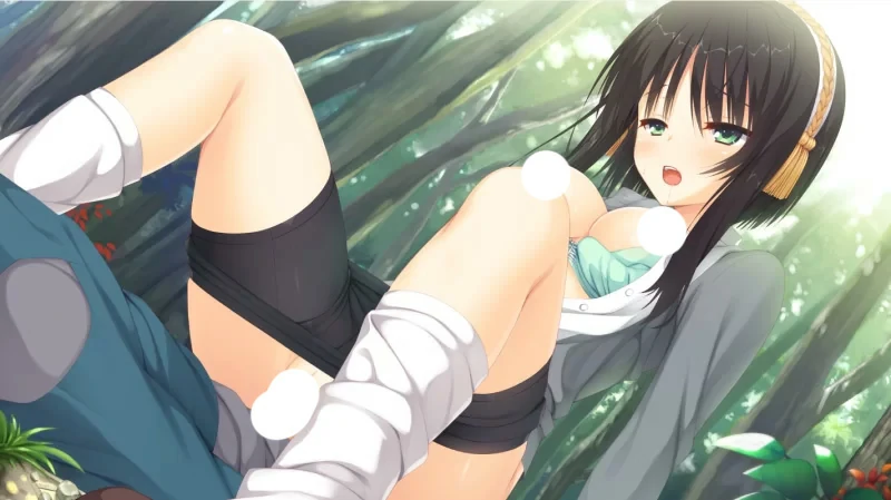 图片[20]-安卓+电脑【SLG中文galgame】千恋万花 心愿屋全线汉化硬盘版+存档 骑-大壮游戏