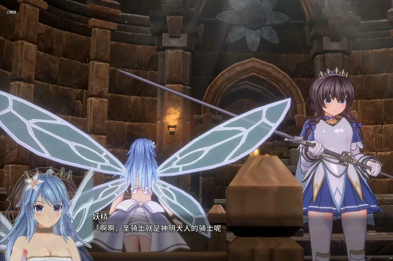图片[3]-电脑版【神作ACT官中动态】圣骑士莉卡物语v1.3.8 步-大壮游戏