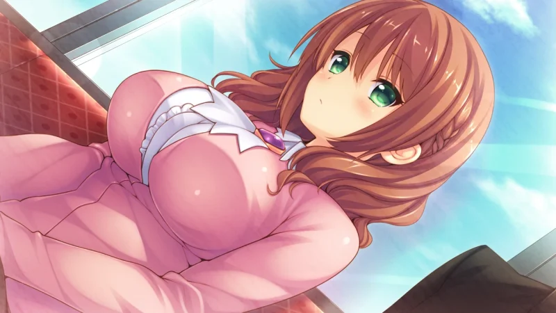 图片[2]-安卓+电脑【日系ADV】女子校生 骑 ty模拟器玩-大壮游戏