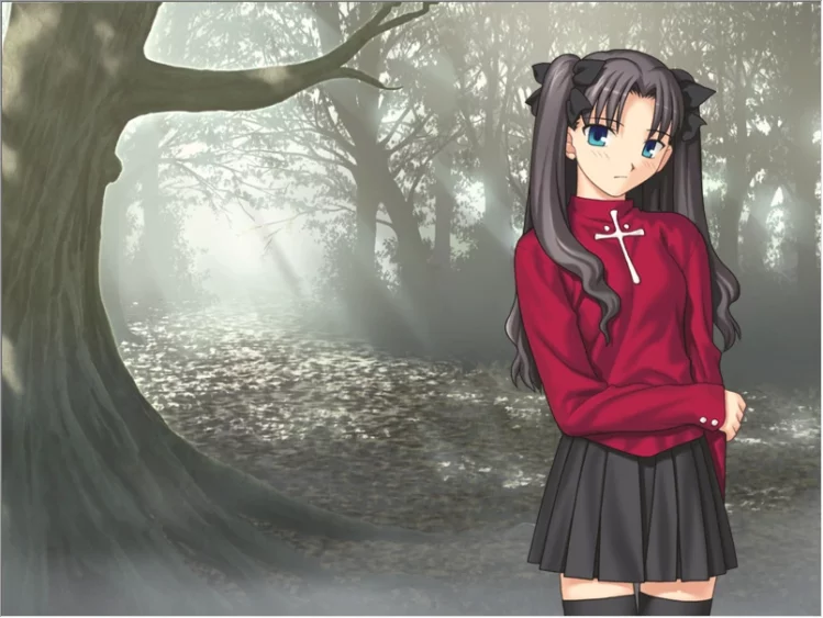 图片[1]-安卓+电脑【SLG同人】Fate Stay Night命运长夜-大壮游戏