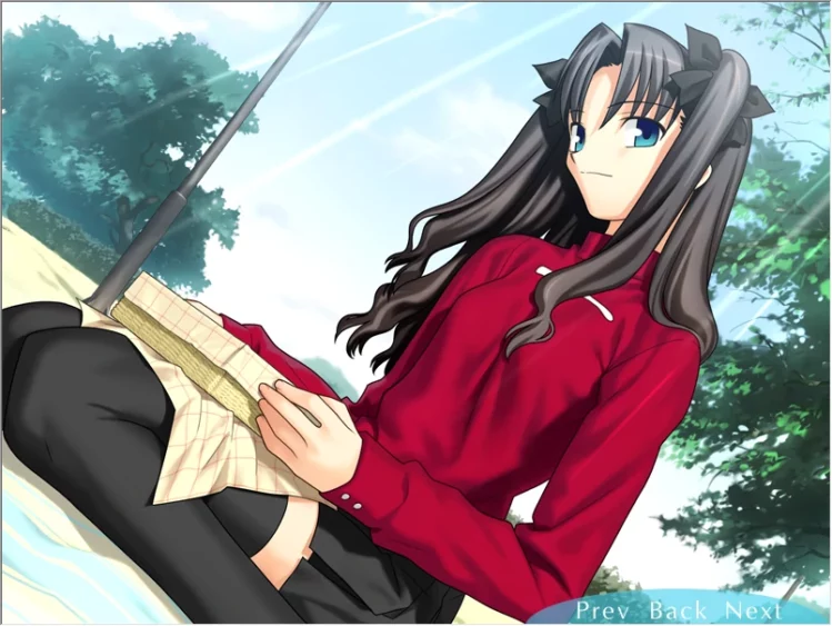 图片[28]-安卓+电脑【SLG同人】Fate Stay Night命运长夜-大壮游戏