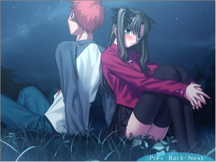 图片[30]-安卓+电脑【SLG同人】Fate Stay Night命运长夜-大壮游戏