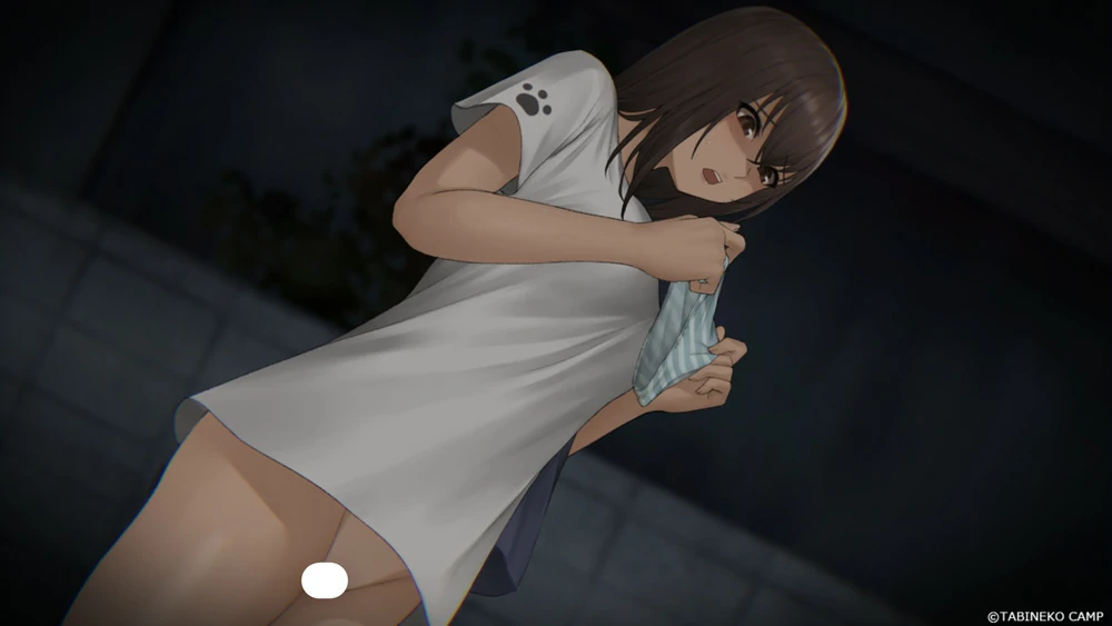 图片[31]-安卓+电脑【神作探索SLG/动态】归途累之夜 完结版-大壮游戏