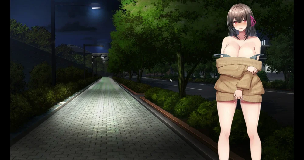 图片[6]-安卓+电脑【RPG露出全回想】女大学生沉迷露出 骑-大壮游戏