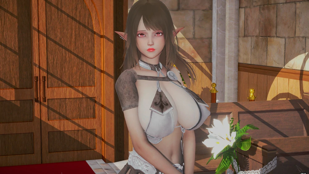 图片[10]-安卓+电脑【亚洲SLG动态】后宫的秘密v2.1 步-大壮游戏