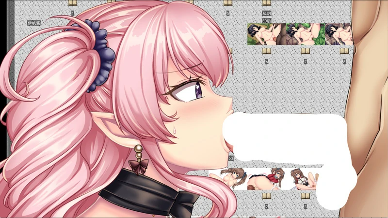 图片[17]-电脑版【热门精品RPG全CV】少女骑士莉莉艾的公主救出物语 自带全回想解放 骑-大壮游戏