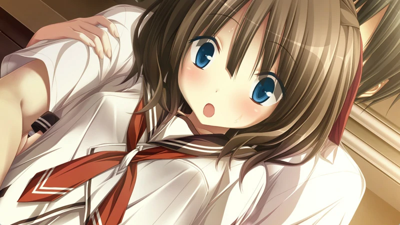 图片[9]-安卓+电脑【神作ADV CV】天津罪 全CG存档 步-大壮游戏