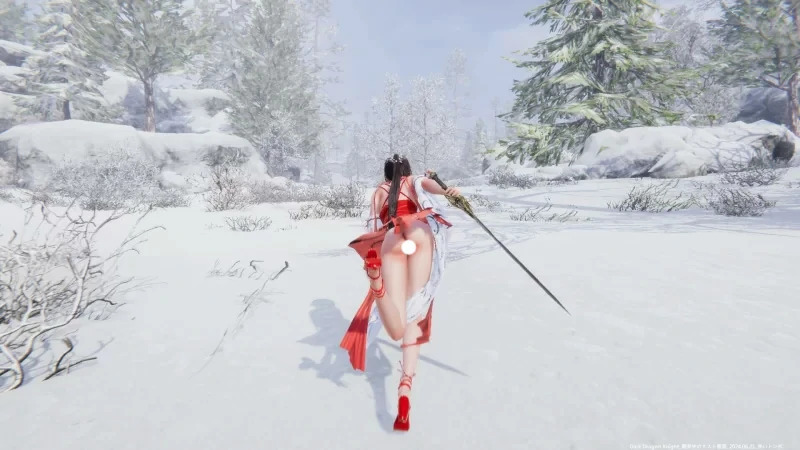 图片[4]-电脑版【神作ACT动态】冰霜之姬V1.6.0 官中 步-大壮游戏