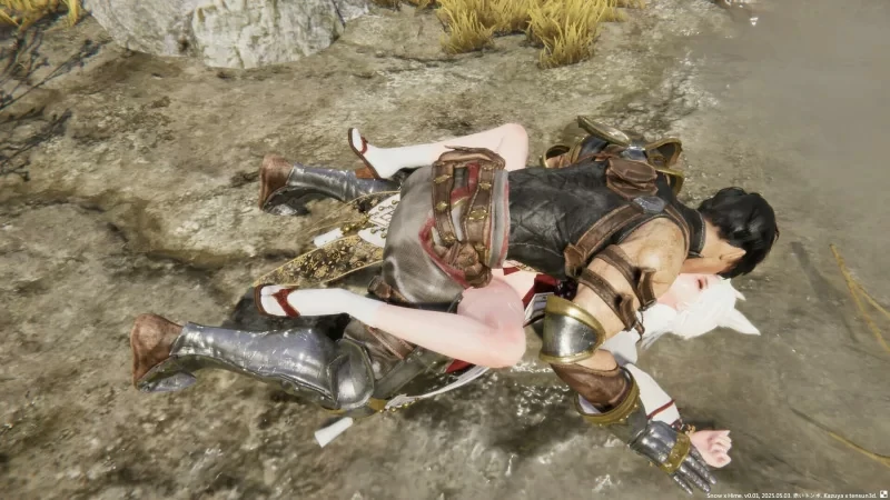 图片[5]-电脑版【神作ACT动态】冰霜之姬V1.6.0 官中 步-大壮游戏