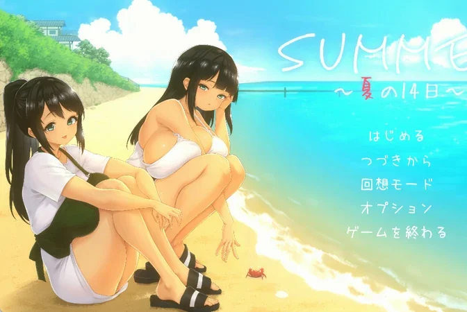 电脑版【像素RPG/动态/全CV】夏日的14天 官中 骑-大壮游戏