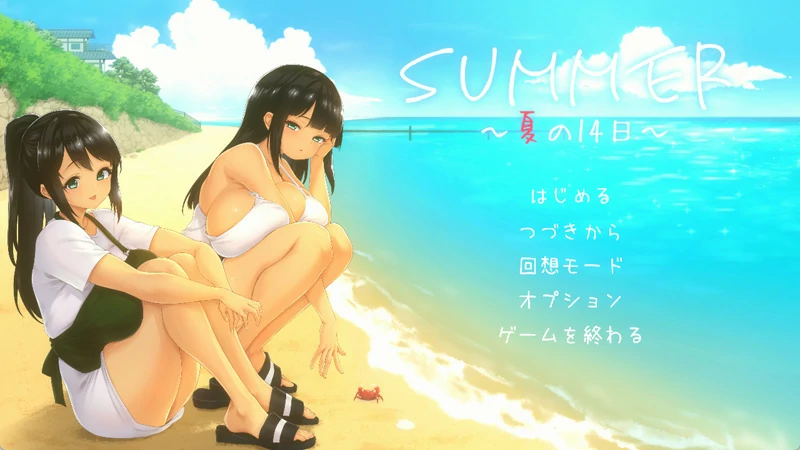 图片[1]-电脑版【像素RPG/动态/全CV】夏日的14天 官中 骑-大壮游戏